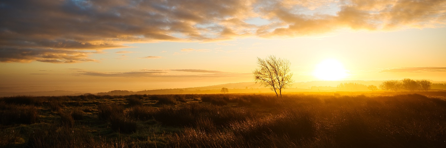 matthewbarsby's profile banner image