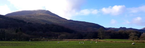 grannymoonboots Profile Banner