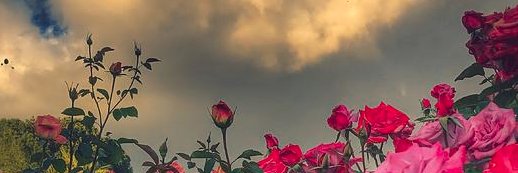 akingweatherman's profile banner image