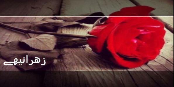 frooo7h_4's profile banner image