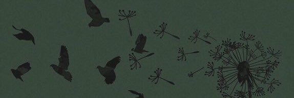 ohKarley's profile banner image