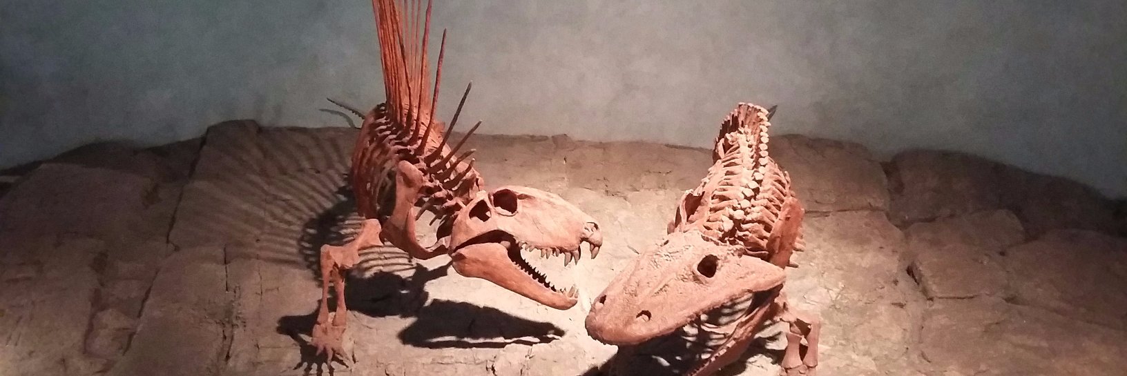 stygnosaurus's profile banner image