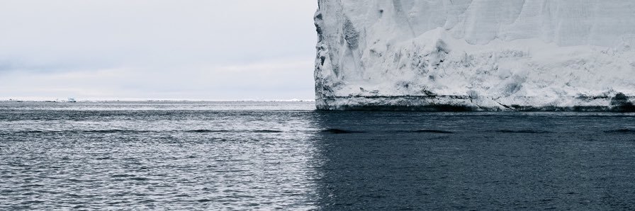 brittdoss's profile banner image