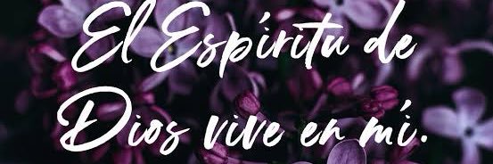 LILLy banner