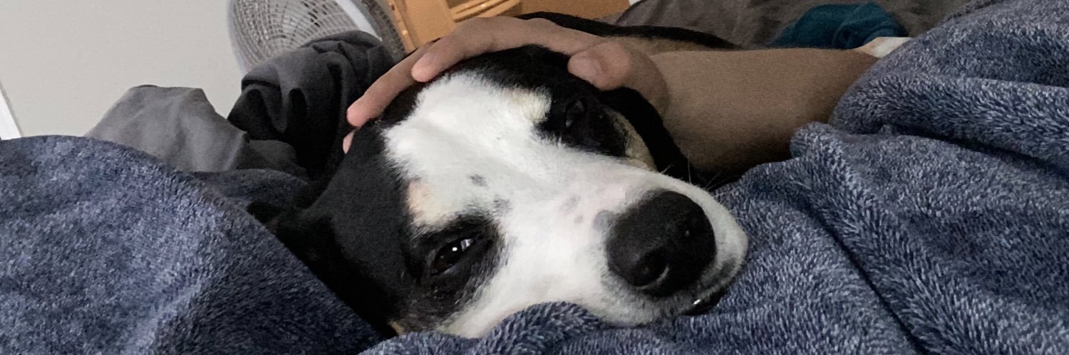 smkainn's profile banner image