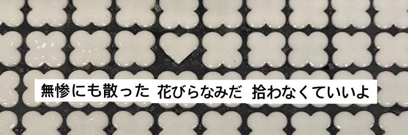 「 𝚃𝚎𝚖𝚒 ₁₆ 」 |ツキト| ꙳✩˖°⌖.꙳✩°⌖.🦋 banner