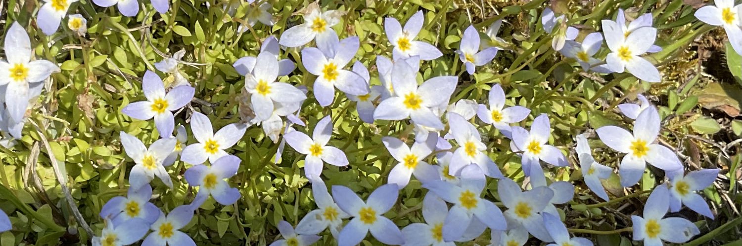 Leslie T. Sharpe banner