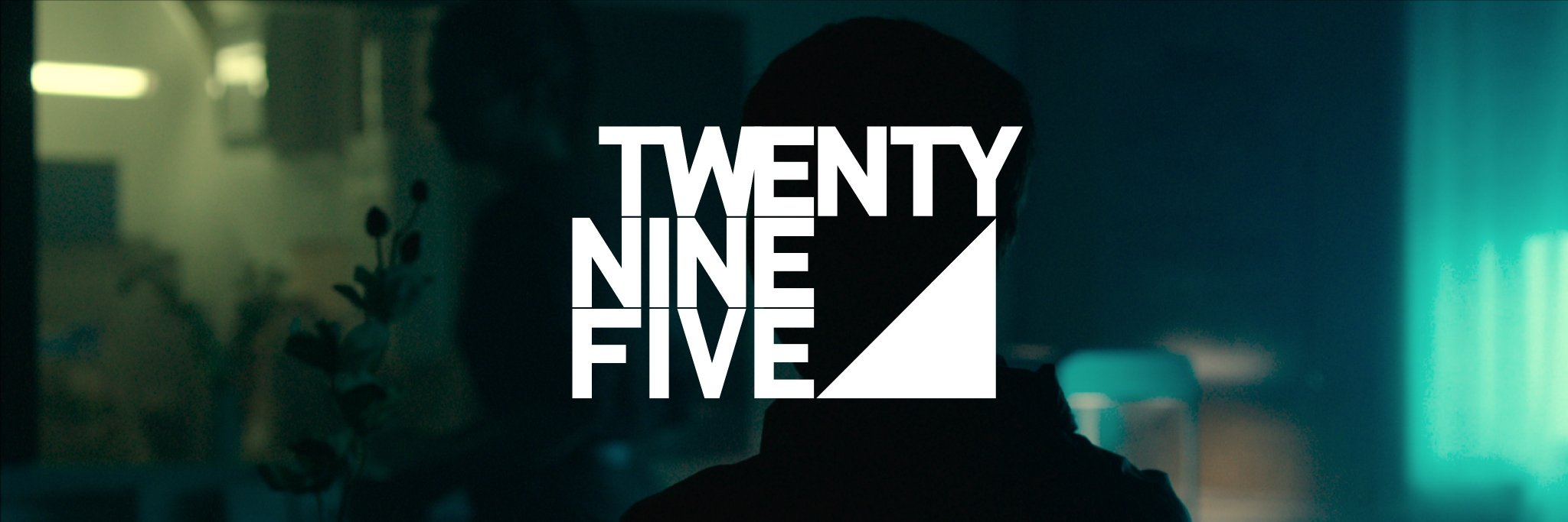 Twenty-Nine Five Group banner