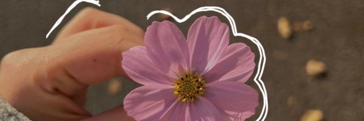 NataliBisutti's profile banner image