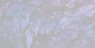 America_Rod's profile banner image