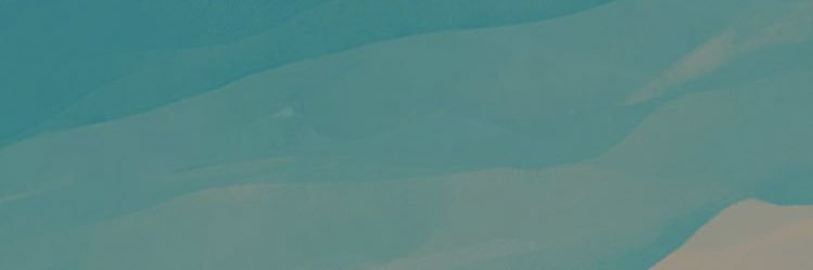 Kschut banner