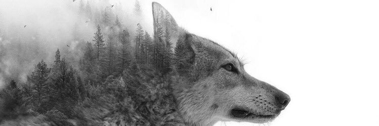 SergioAlb02's profile banner image