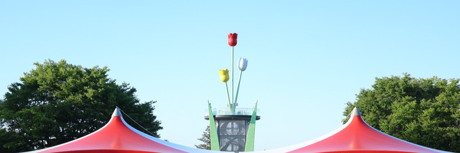 NEOにゃん☄️️🌷 banner