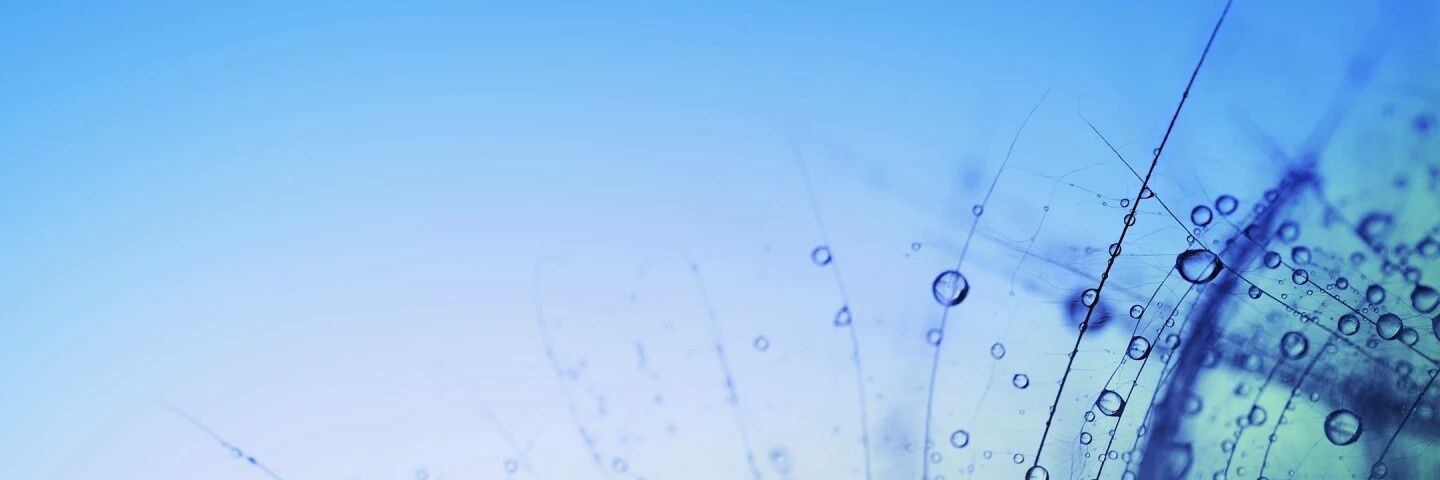 selmy1295's profile banner image
