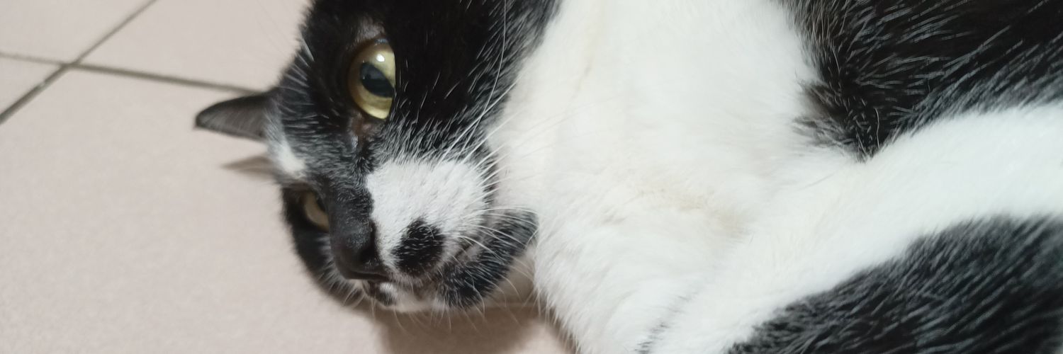 sp014580's profile banner image