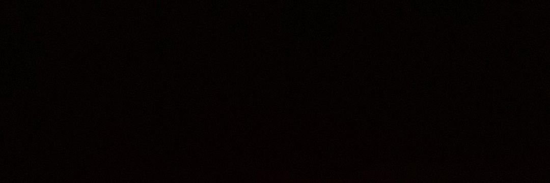 florayassa's profile banner image