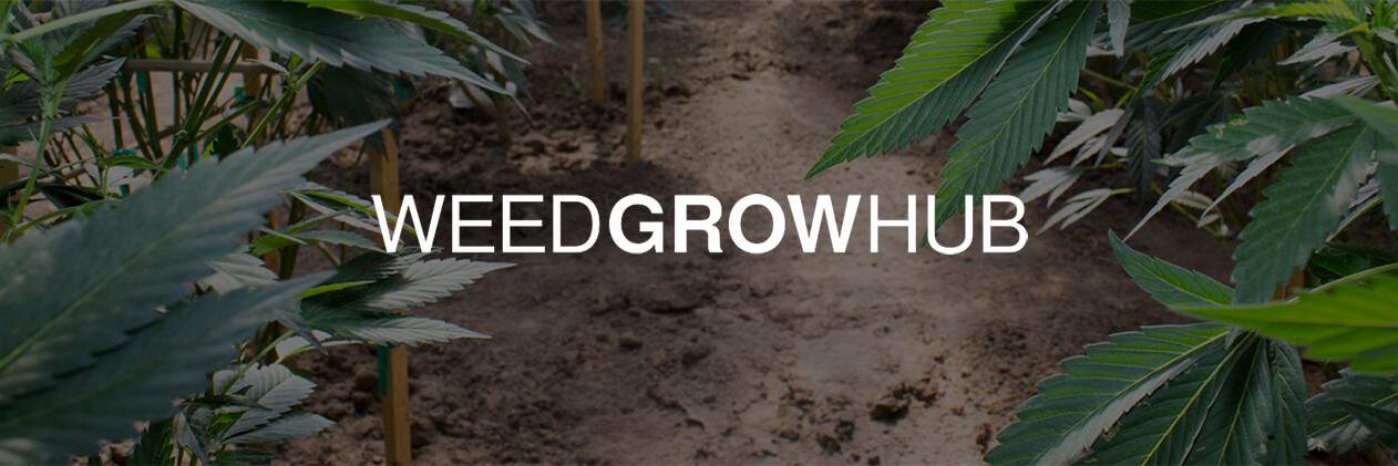 WeedGrowHub banner