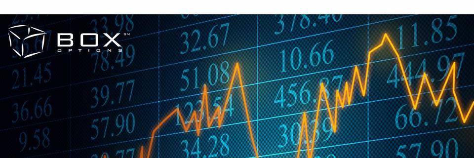 BOX Options banner