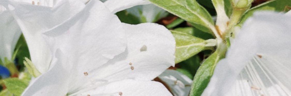 ff_idd's profile banner image