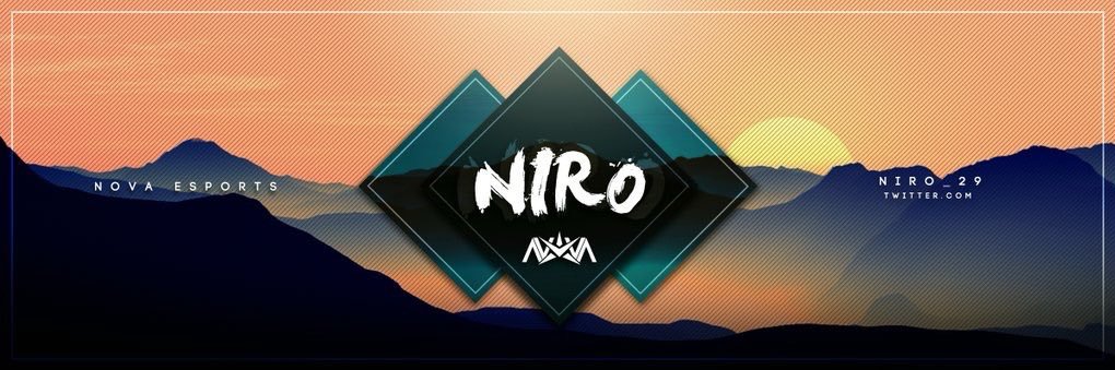 Niro banner