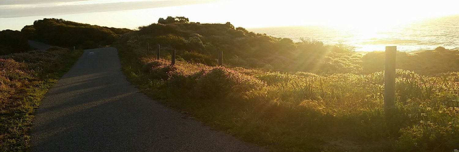 leesamharris's profile banner image