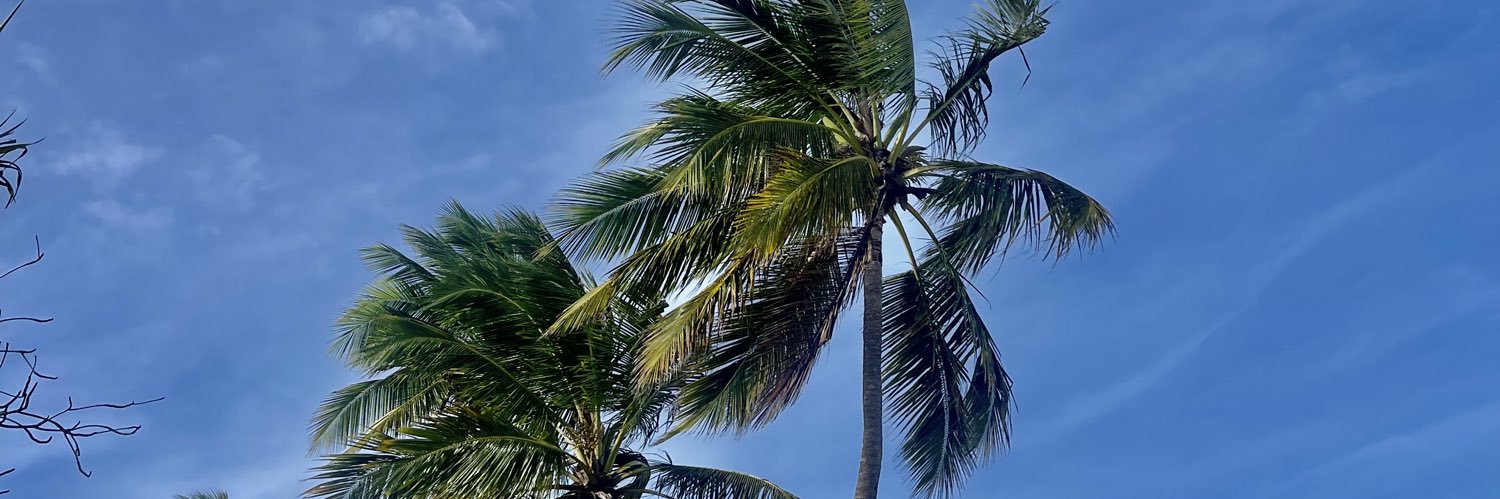 𝑀𝒶𝒷𝑒 ☾ banner