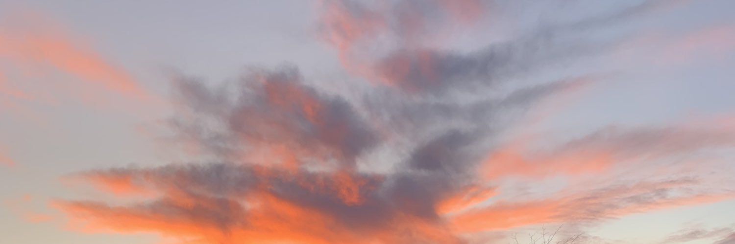 lexy_moran's profile banner image