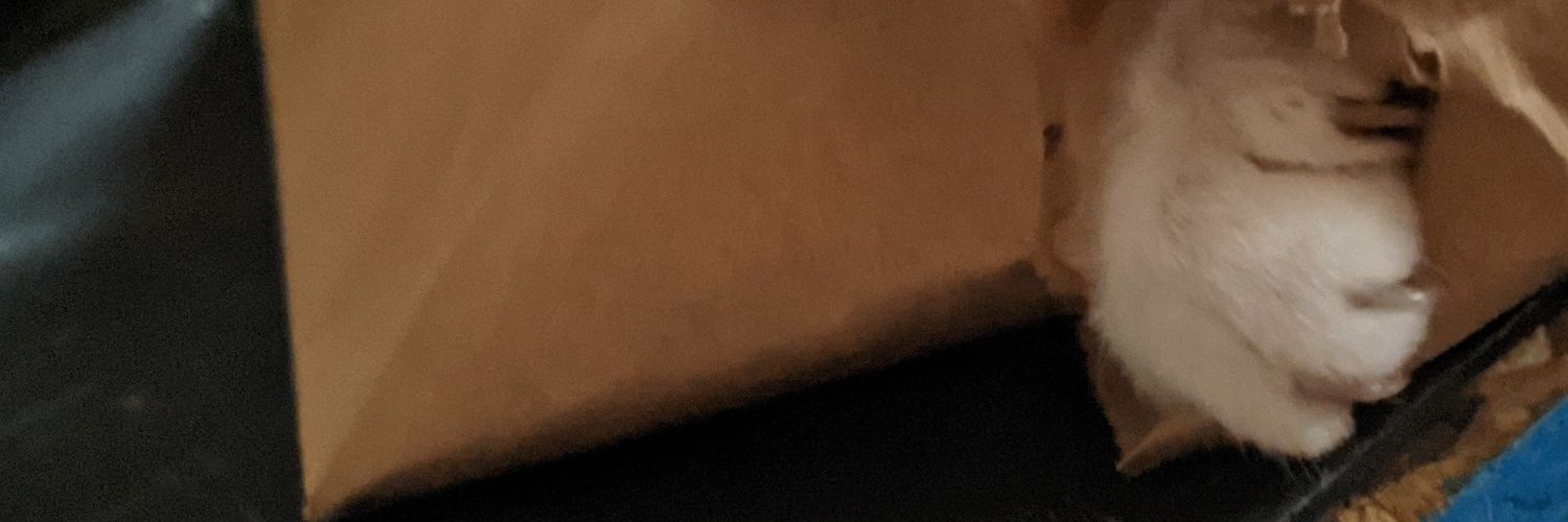 totsuki72's profile banner image