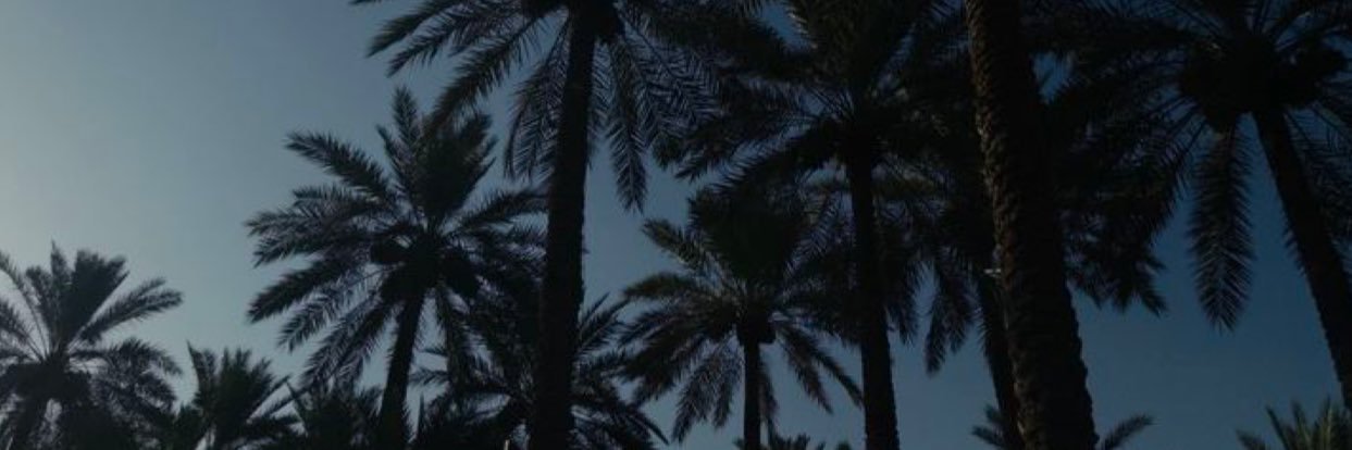 rhrbii's profile banner image