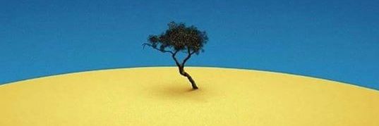 odoraone's profile banner image
