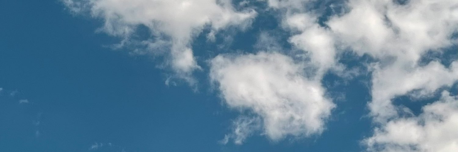 pecanasversion's profile banner image