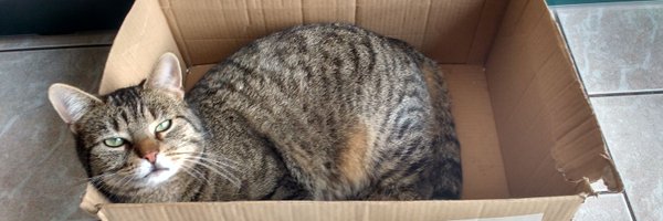 KaterOlli Profile Banner