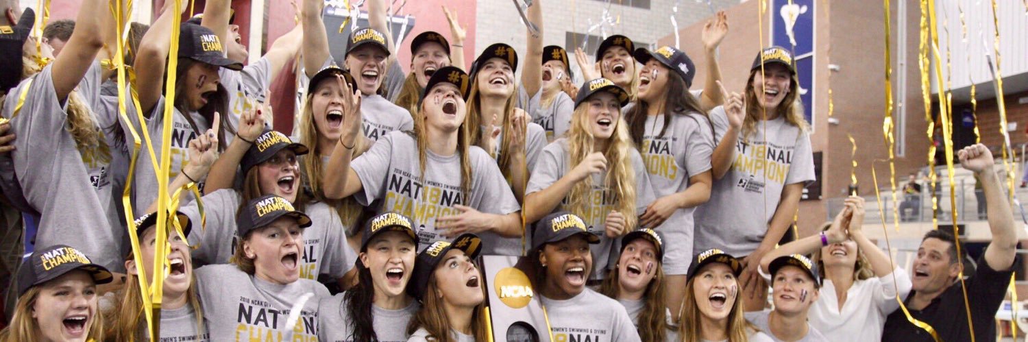 Erin Voss banner