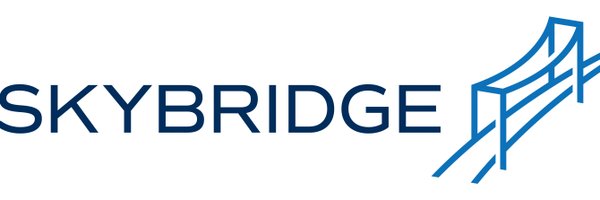 SkyBridge Profile Banner