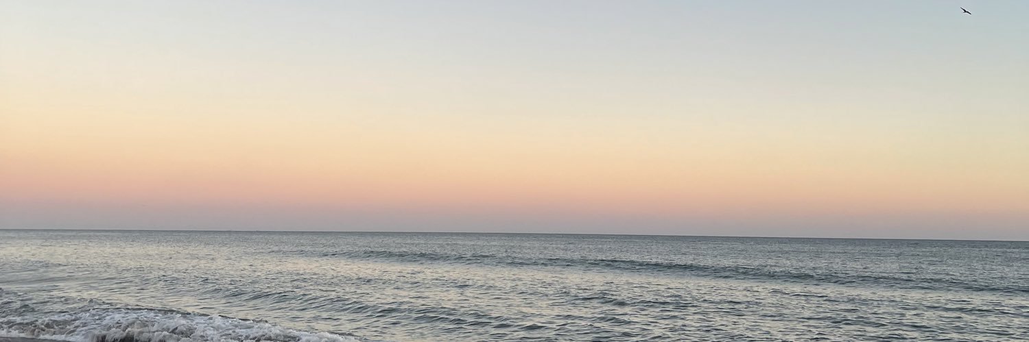 Ari 🌟 banner