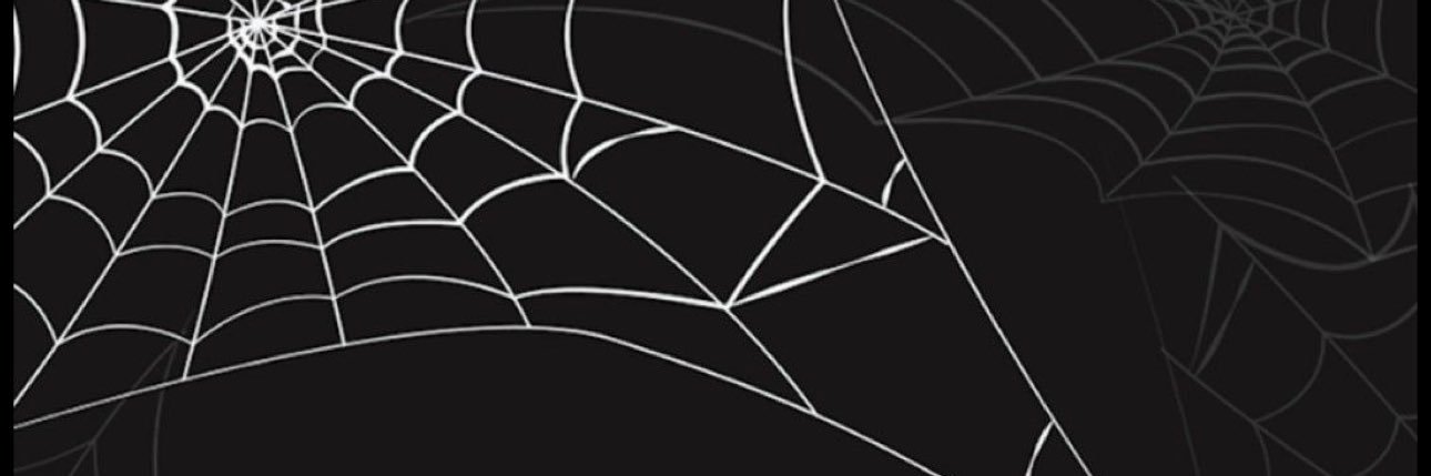 mireyaxo's profile banner image