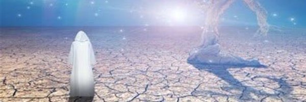 Cheridr77 Profile Banner