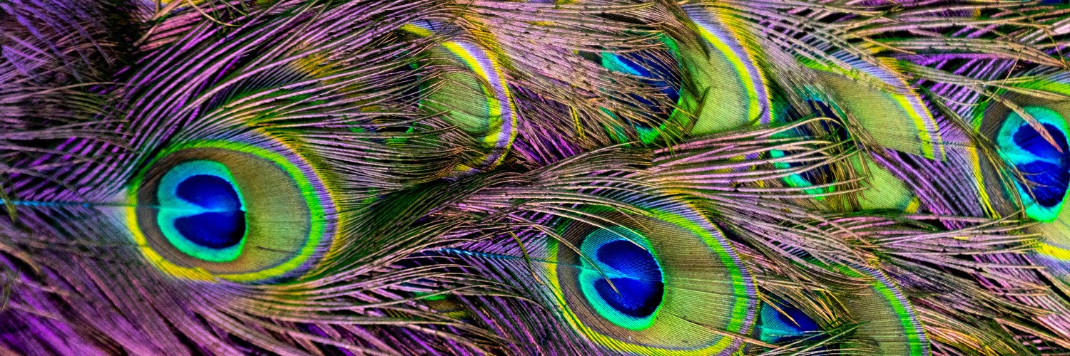 Dr. Melanie Peacock PhD, MBA, FCPHR, SHRM-SCP banner