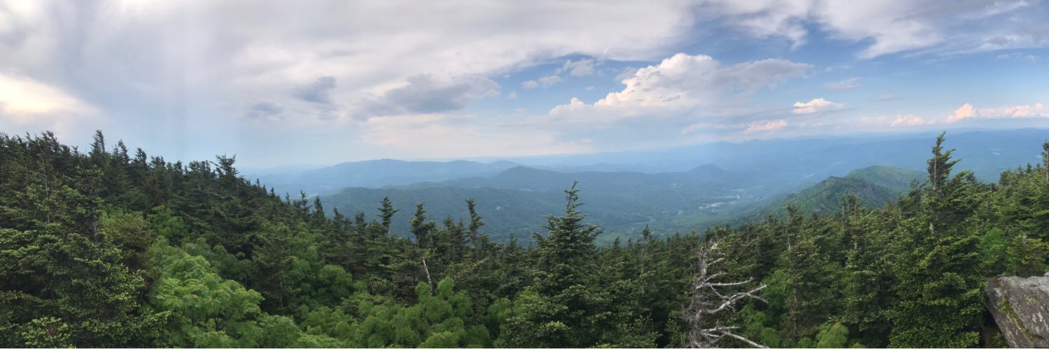 Bowen Collins banner