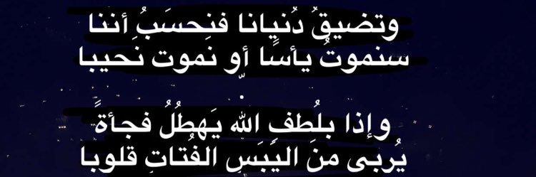 safa_n1's profile banner image