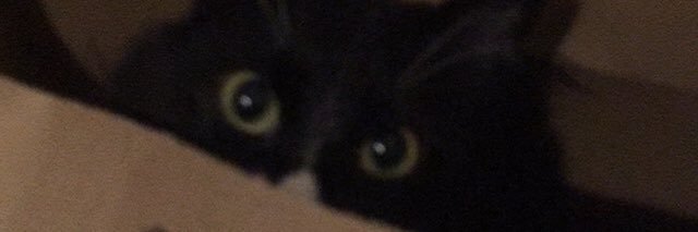 cc_karlos's profile banner image