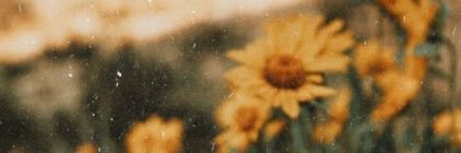 chief_keeks's profile banner image