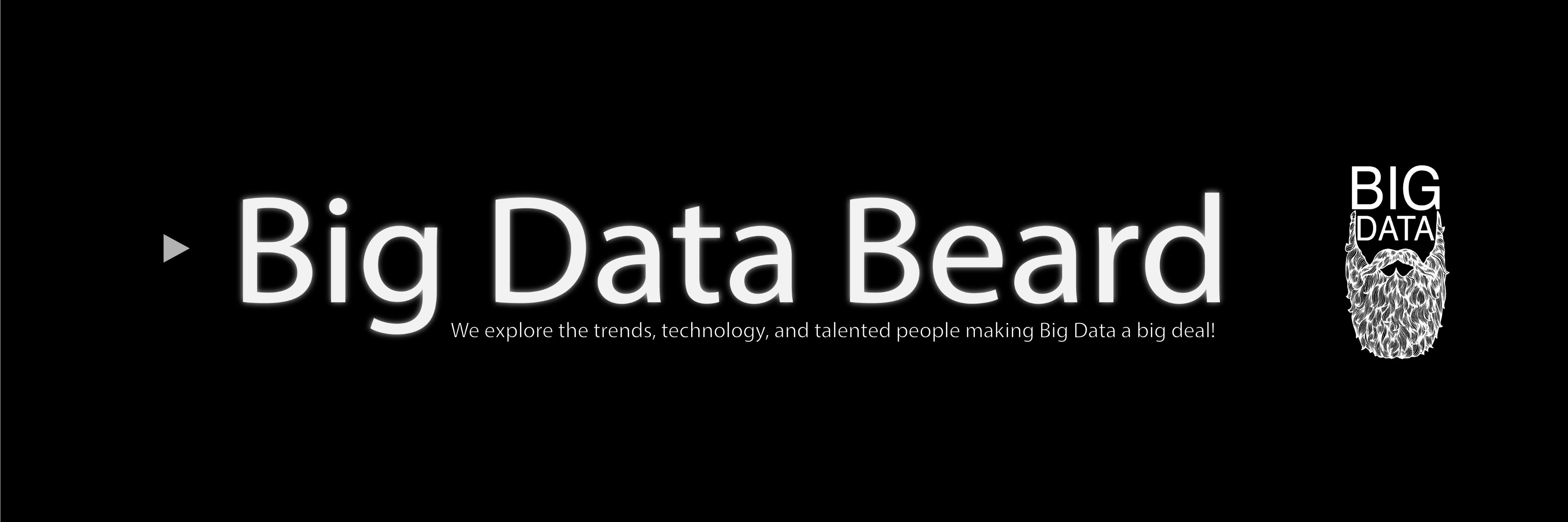 Big Data Beard banner