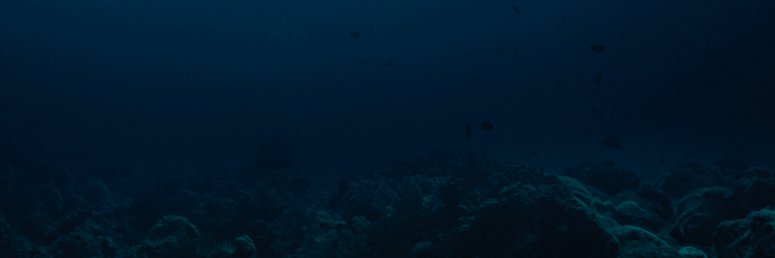 Santicnova's profile banner image
