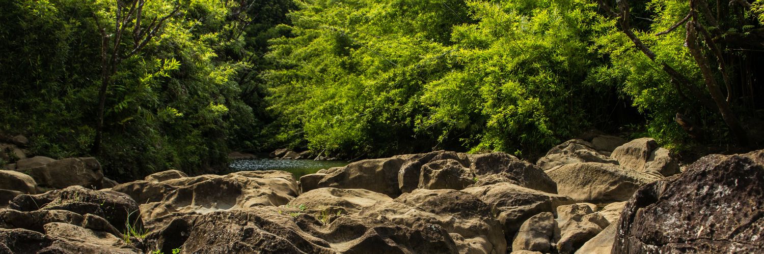 RJStan_'s profile banner image