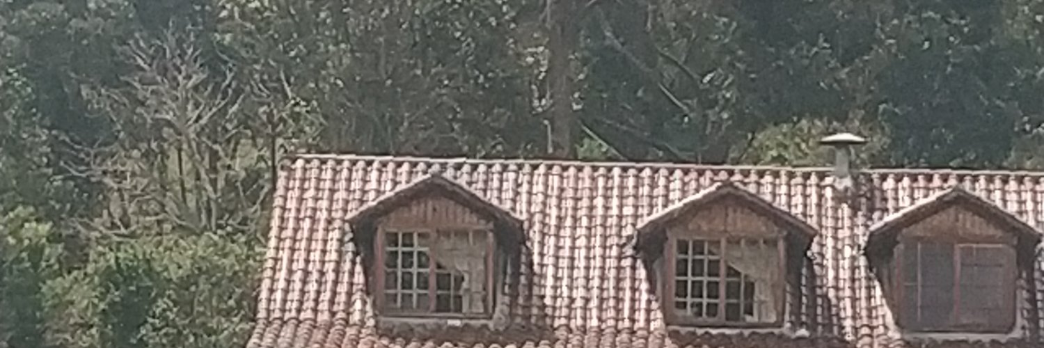 gerardobando's profile banner image