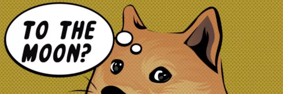 DOGE TO THE MOON banner