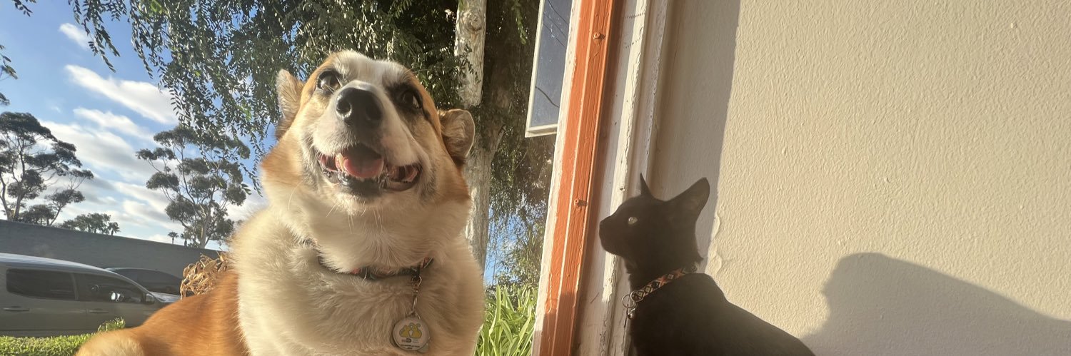_ayoitsroxy's profile banner image