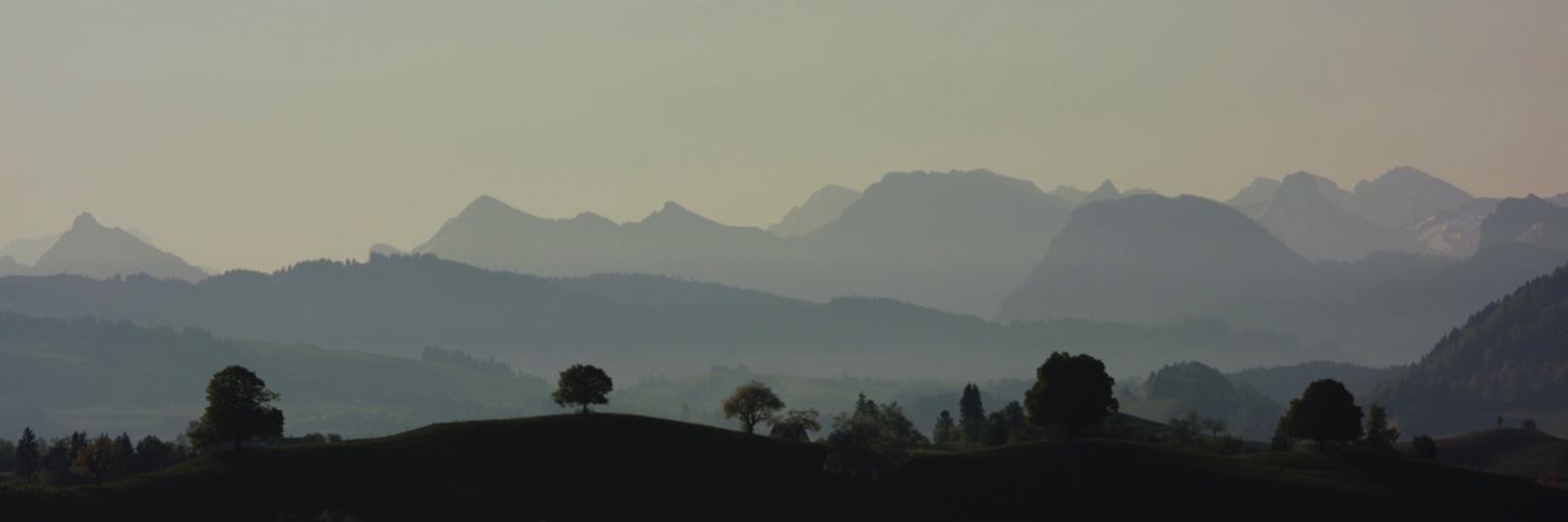 Anita Hugi banner