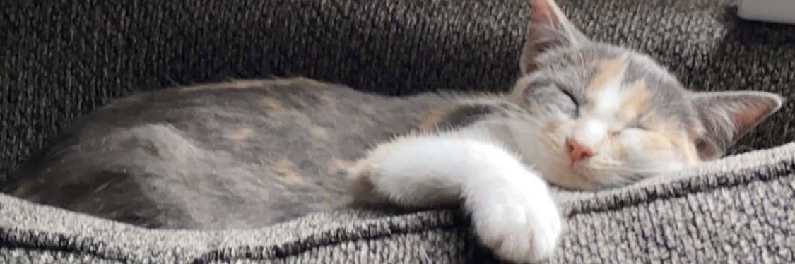 bbbethannyy's profile banner image